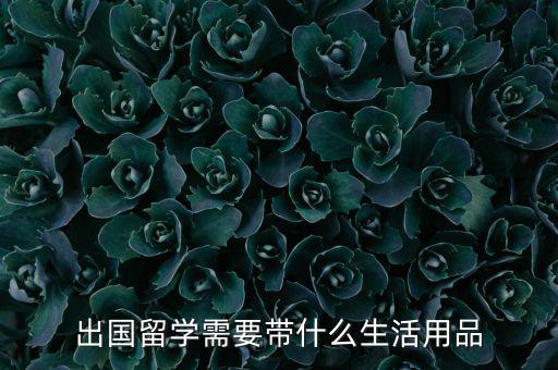 出國(guó)留學(xué)需要帶什么生活用品