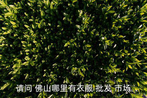 請(qǐng)問(wèn) 佛山哪里有衣服 批發(fā) 市場(chǎng)