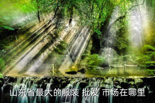 山東省最大的服裝 批發(fā) 市場在哪里