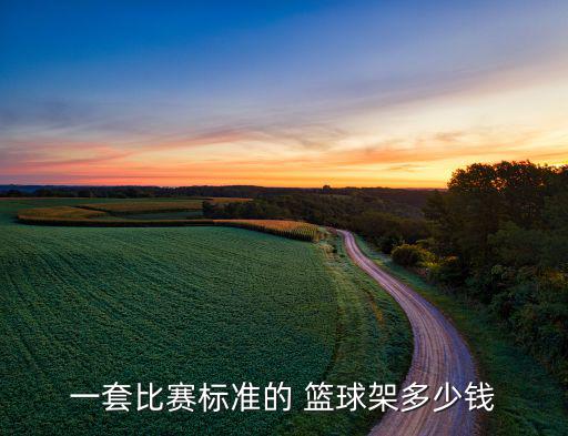 一套比賽標(biāo)準(zhǔn)的 籃球架多少錢