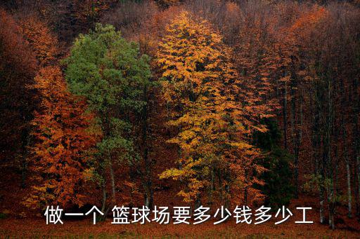 做一個(gè) 籃球場(chǎng)要多少錢多少工