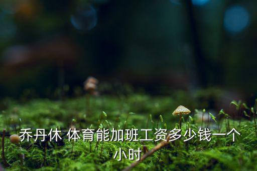  喬丹休 體育能加班工資多少錢一個(gè)小時(shí)