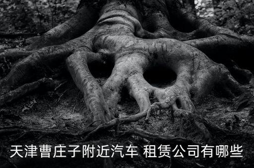 天津曹莊子附近汽車 租賃公司有哪些