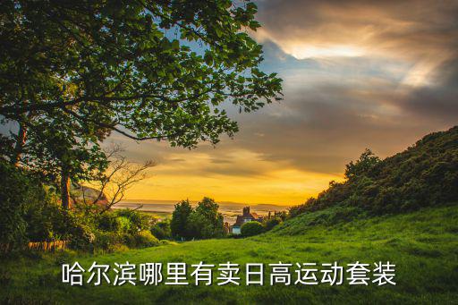 哈爾濱哪里有賣日高運動套裝