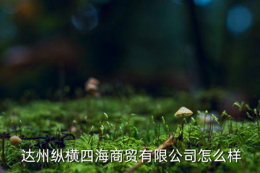  達(dá)州縱橫四海商貿(mào)有限公司怎么樣
