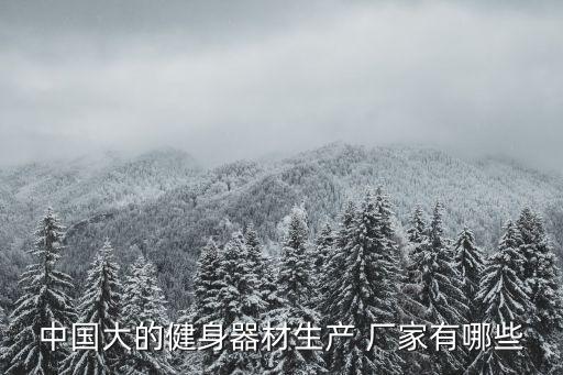 中國大的健身器材生產 廠家有哪些