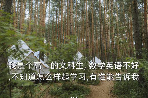 我是個(gè)高二的文科生, 數(shù)學(xué)英語(yǔ)不好,不知道怎么樣起學(xué)習(xí),有誰(shuí)能告訴我...