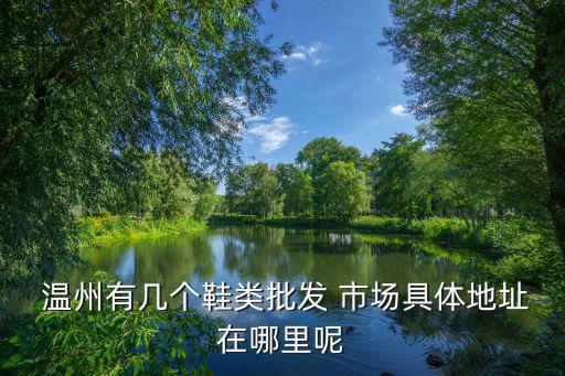  溫州有幾個鞋類批發(fā) 市場具體地址在哪里呢