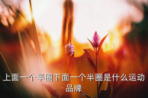 一體育用品個圈是什么牌子,體育用品白色的球是什么球