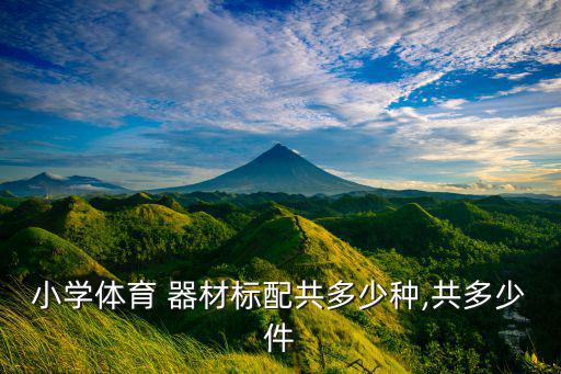 小學體育 器材標配共多少種,共多少件