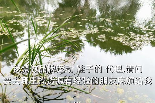 免費(fèi)招代理賣鞋子,代理賣的鞋子是真的嗎