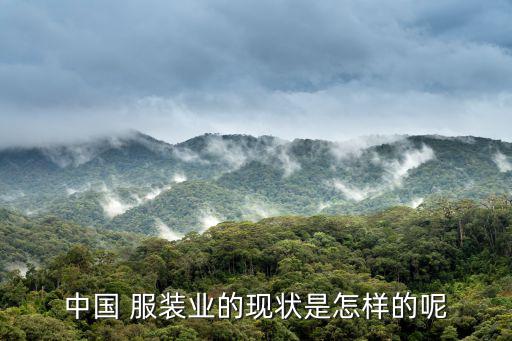 服裝市場容量分析,2021年服裝市場容量