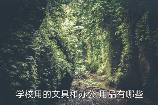學校體育用品有哪些用途呢,體育用品分三類包括籃球和繩索