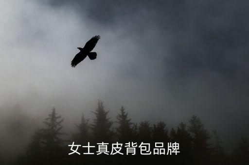 女士真皮背包品牌