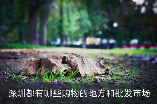  深圳都有哪些購(gòu)物的地方和批發(fā)市場(chǎng)