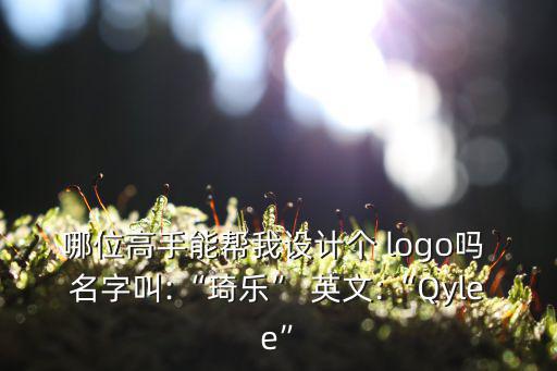哪位高手能幫我設(shè)計(jì)個(gè) logo嗎 名字叫:“琦樂(lè)” 英文:“Qylee”