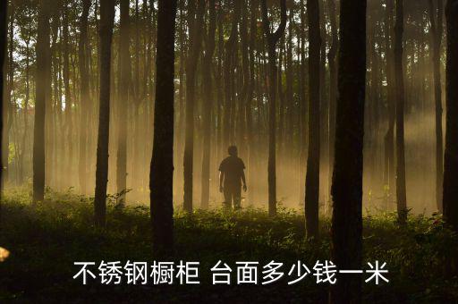  不銹鋼櫥柜 臺(tái)面多少錢一米