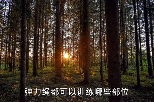 拉力繩哪個(gè)牌子好,拉力服哪個(gè)牌子性價(jià)比高