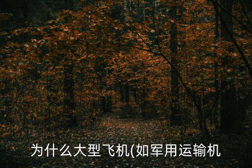 為什么叫螺旋槳,渦輪螺旋槳發(fā)動機起飛時會產(chǎn)生旋翼效應(yīng)