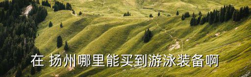 在 揚(yáng)州哪里能買(mǎi)到游泳裝備啊