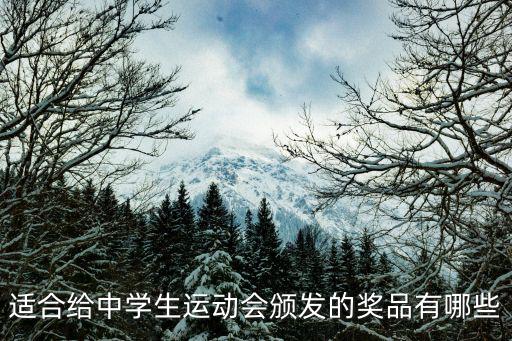 適合給中學(xué)生運(yùn)動(dòng)會(huì)頒發(fā)的獎(jiǎng)品有哪些