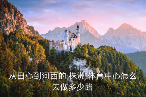 株洲體育廣場(chǎng)在哪里建,株洲鋼琴?gòu)V場(chǎng)在哪里