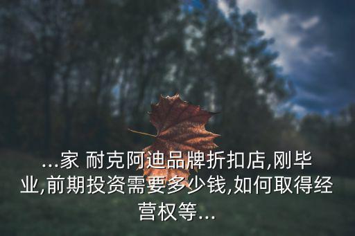 ...家 耐克阿迪品牌折扣店,剛畢業(yè),前期投資需要多少錢,如何取得經(jīng)營權(quán)等...