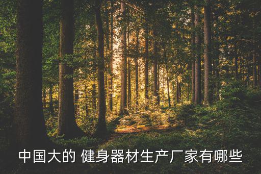 中國大的 健身器材生產(chǎn)廠家有哪些
