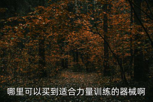 哪里可以買到適合力量訓(xùn)練的器械啊