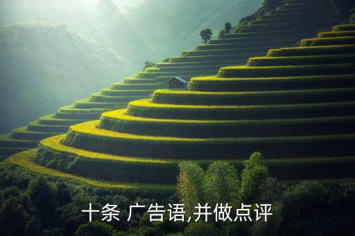 十條 廣告語,并做點評
