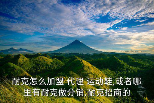 耐克怎么加盟 代理 運(yùn)動鞋,或者哪里有耐克做分銷,耐克招商的