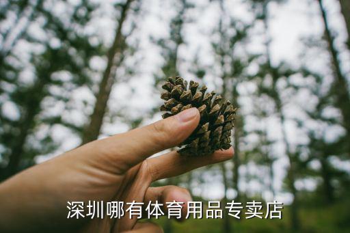 深圳哪有體育用品專賣店