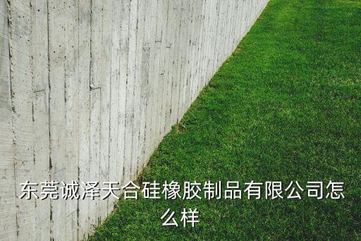  東莞誠(chéng)澤天合硅橡膠制品有限公司怎么樣