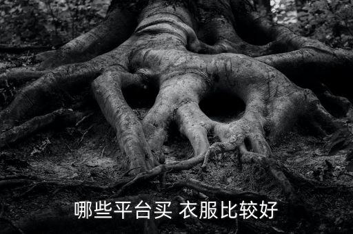 哪些平臺買 衣服比較好