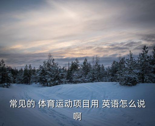 游泳體育用品英語(yǔ)怎么說(shuō),并且擁有很多體育用品用英語(yǔ)怎么說(shuō)