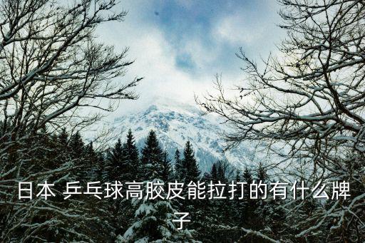 乒乓球地膠十大品牌,國際乒乓球比賽地膠品牌