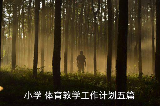 體育器材室工作計(jì)劃書(shū),共享體育器材項(xiàng)目計(jì)劃書(shū)