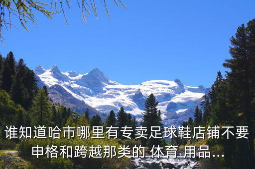 哈爾濱體育用品廠家有哪些,生產(chǎn)體育用品類(lèi)的廠家有哪些