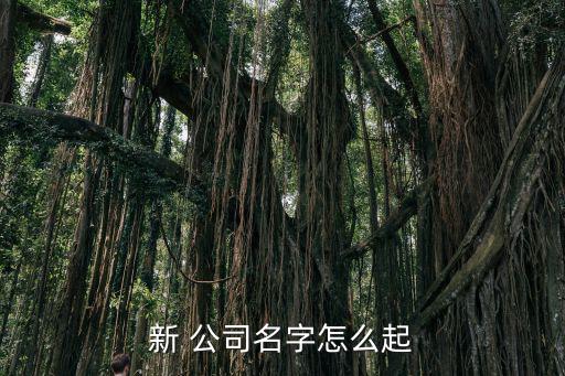 最新公司起名大全免費,如何查店名是否被注冊