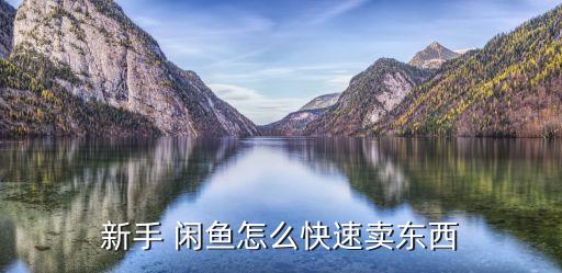 閑魚怎么賣體育用品,笨笨魚體育用品賣的是正品嗎