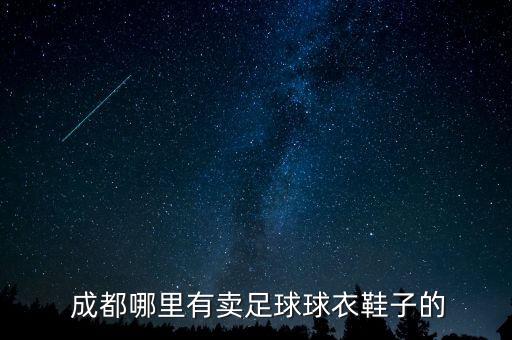 成都哪里能買到體育用品