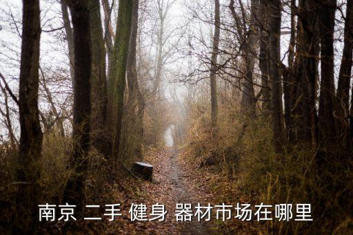 二手沙袋健身器材出售平臺(tái),常德二手健身器材市場(chǎng)銷售量增加