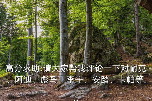 高分求助:請(qǐng)大家?guī)臀以u(píng)論一下對(duì)耐克、阿迪、彪馬、李寧、安踏、卡帕等...
