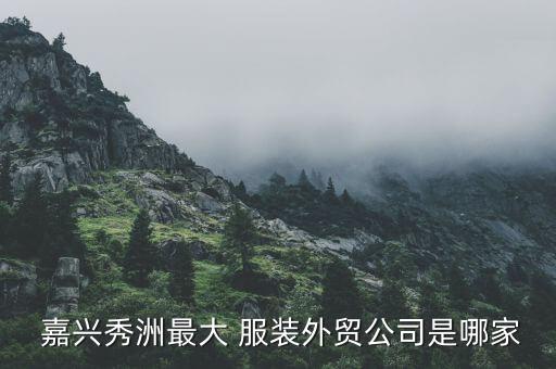  嘉興秀洲最大 服裝外貿(mào)公司是哪家