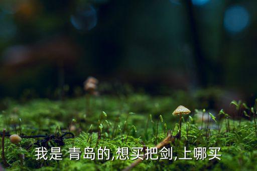 我是 青島的,想買(mǎi)把劍,上哪買(mǎi)