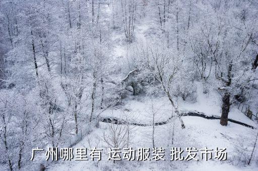 運動品牌在哪里批發(fā),石家莊運動品牌折扣批發(fā)