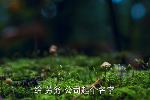 勞務公司起名大全冊子,系統(tǒng)搜索起名符合公司理念和服務宗旨
