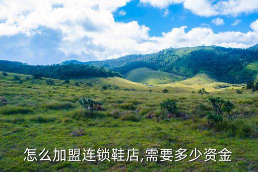 加盟運(yùn)動(dòng)品牌實(shí)體店多少錢,一線品牌女裝加盟實(shí)體店
