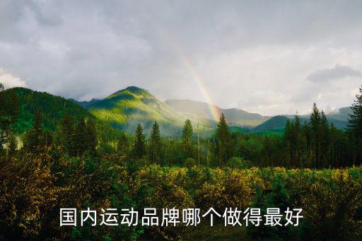 國(guó)內(nèi)運(yùn)動(dòng)品牌哪個(gè)做得最好