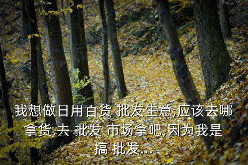 我想做日用百貨 批發(fā)生意,應(yīng)該去哪拿貨,去 批發(fā) 市場拿吧,因?yàn)槲沂歉?批發(fā)...